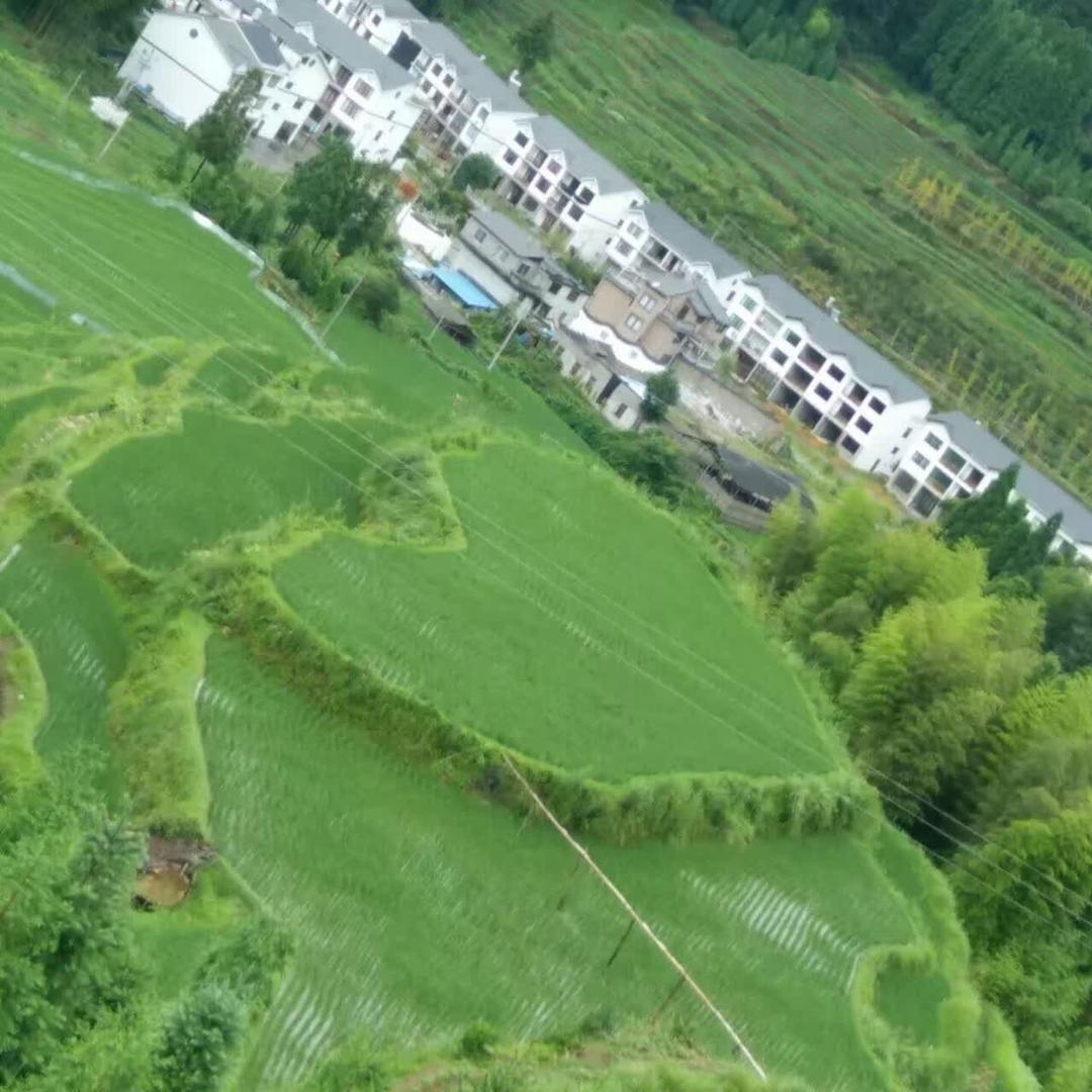 后生袜业