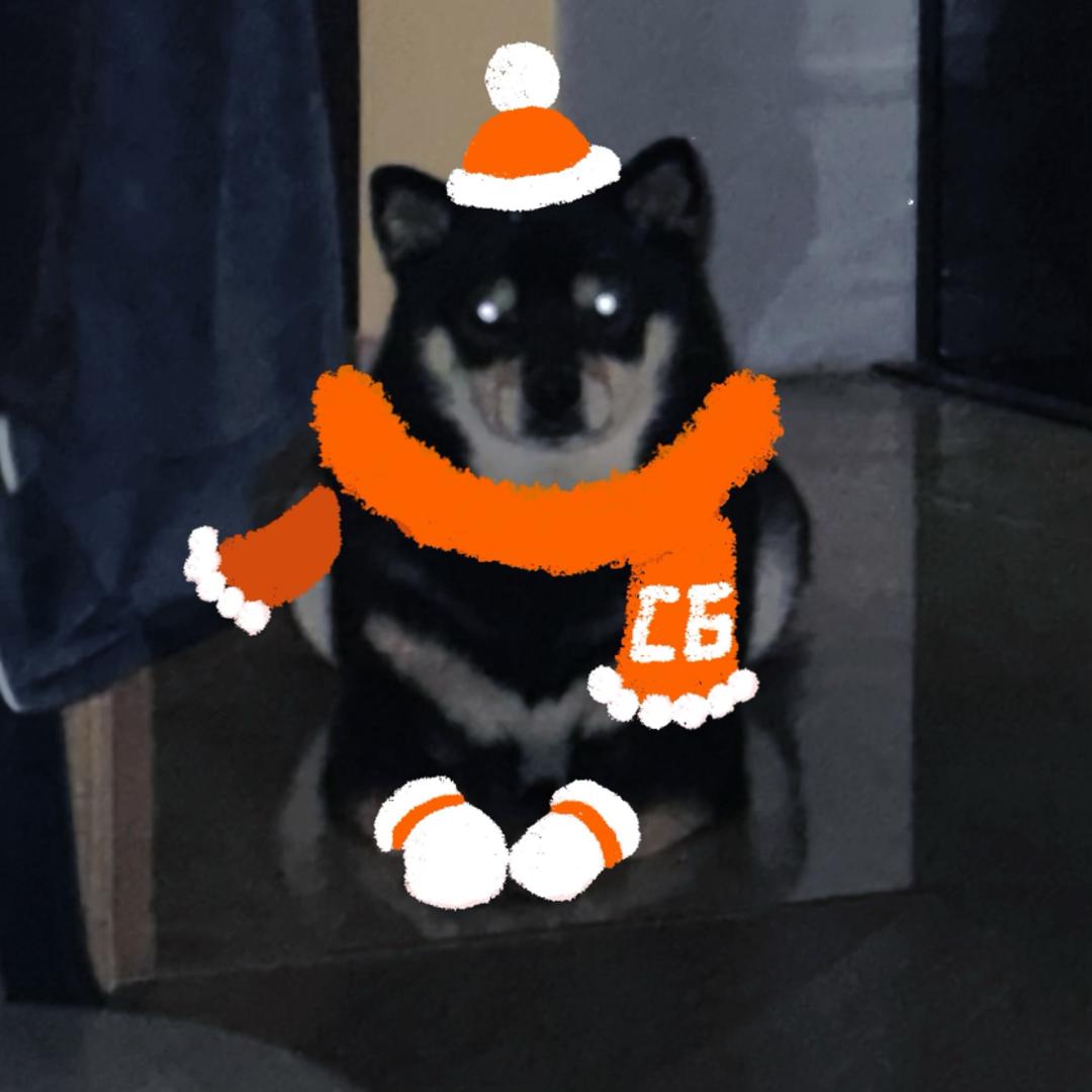 六斤糯糯糯🐻