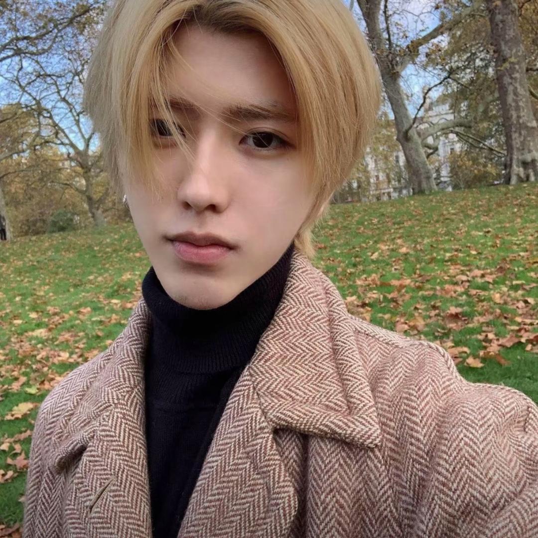 九龙坡少女的梦