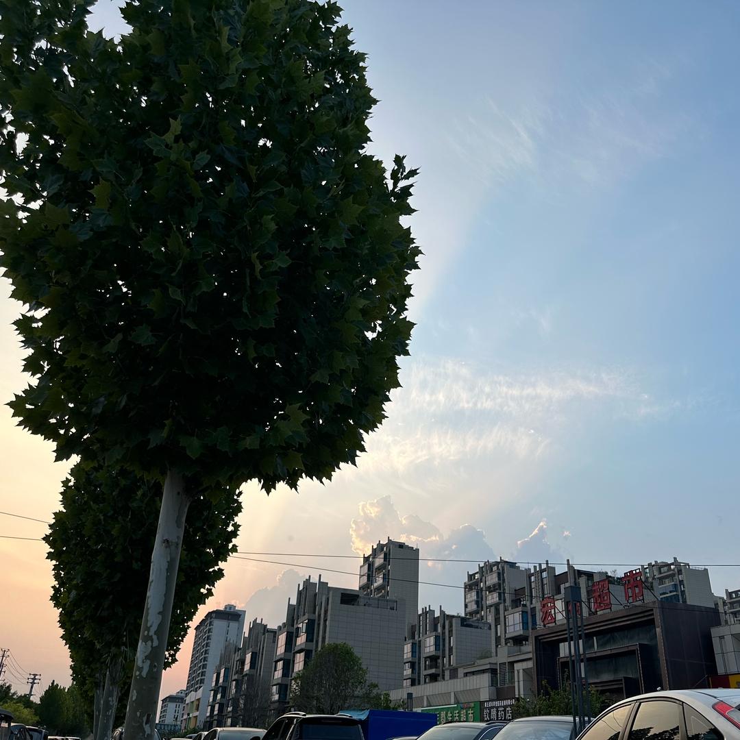 辣小鸭热卤