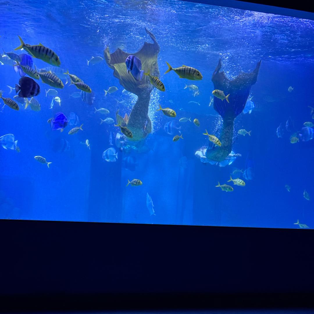 @舌尖上的美食（新疆特产）