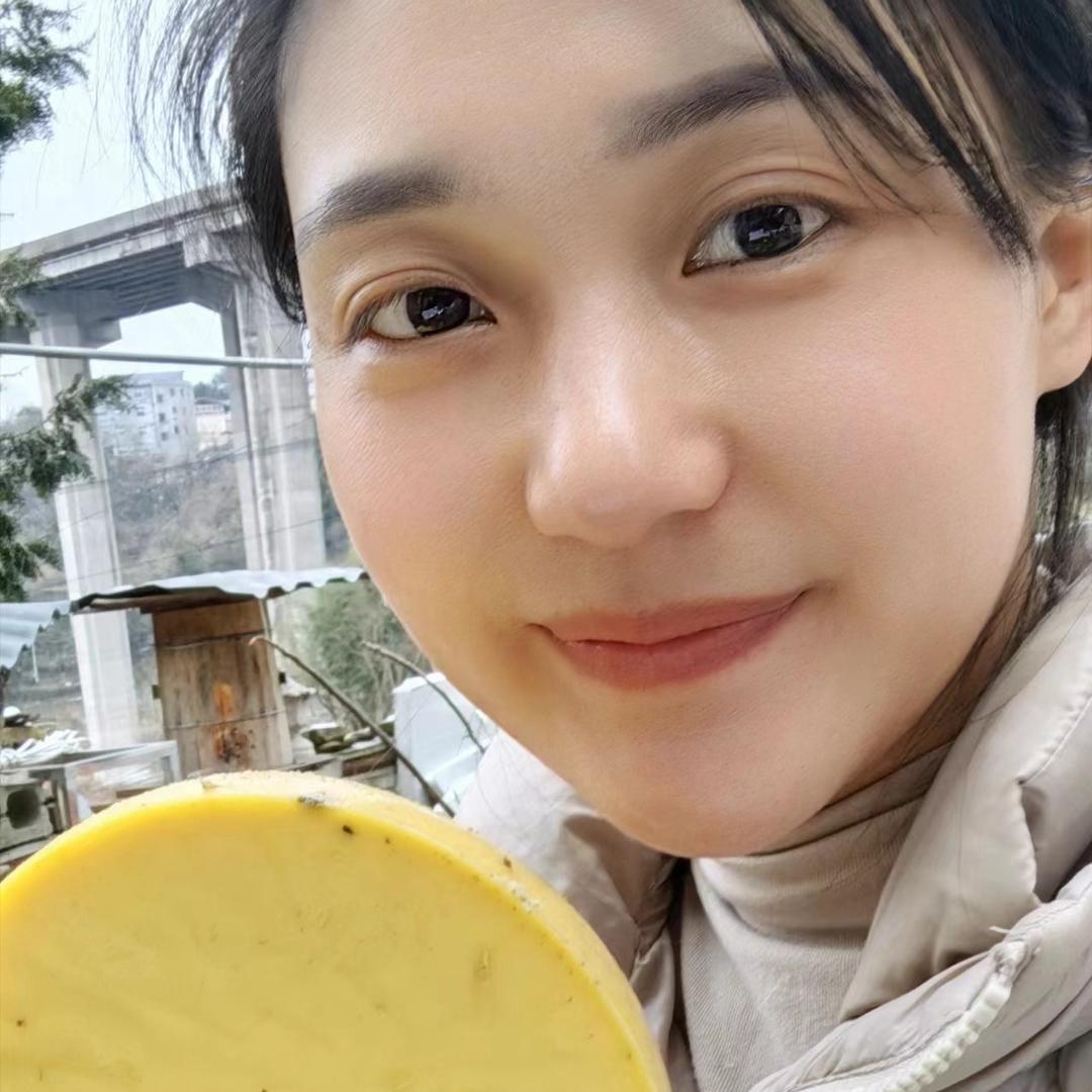 全姐探蜂
