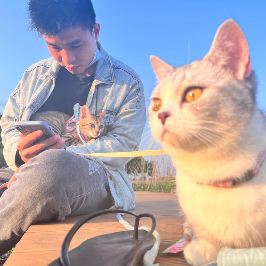 赚一火车钱