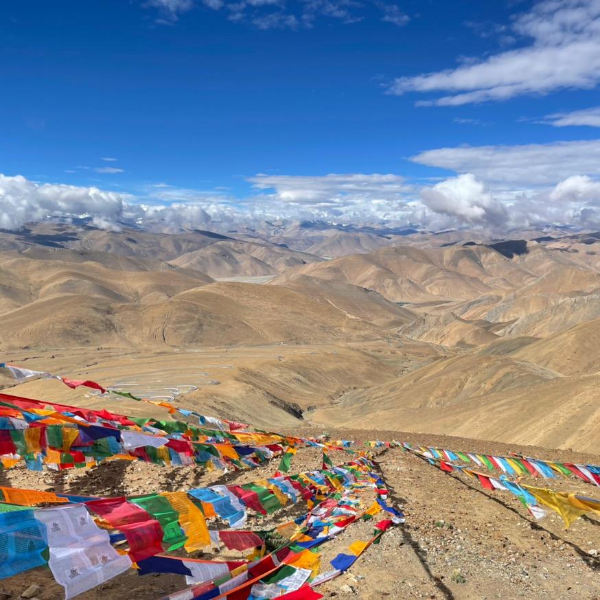 大湾区物流（希喑内推）