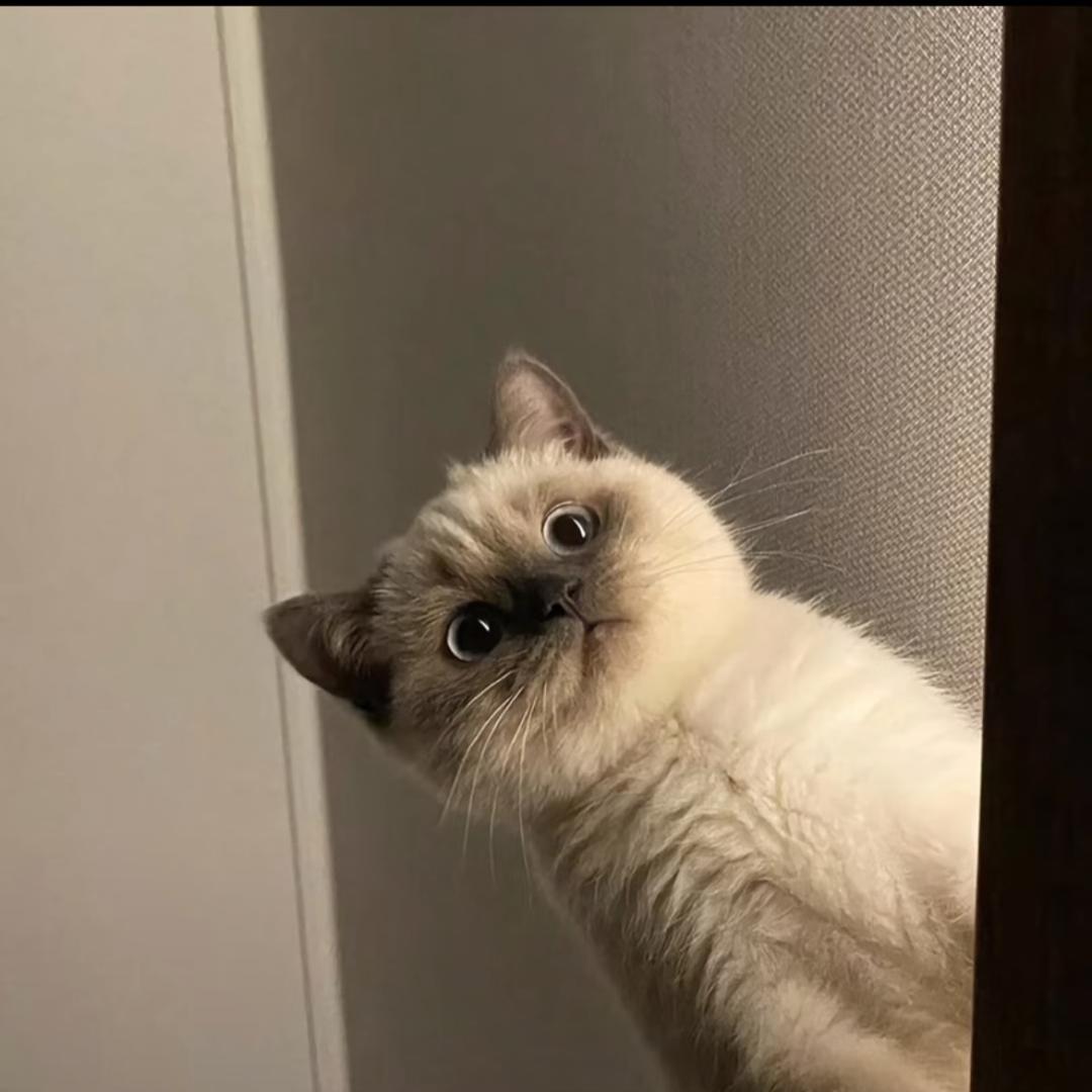 Dsh