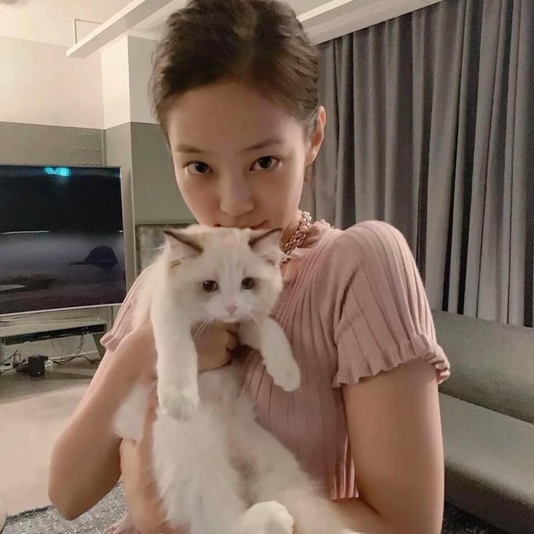 小笼包炖小蒸饺