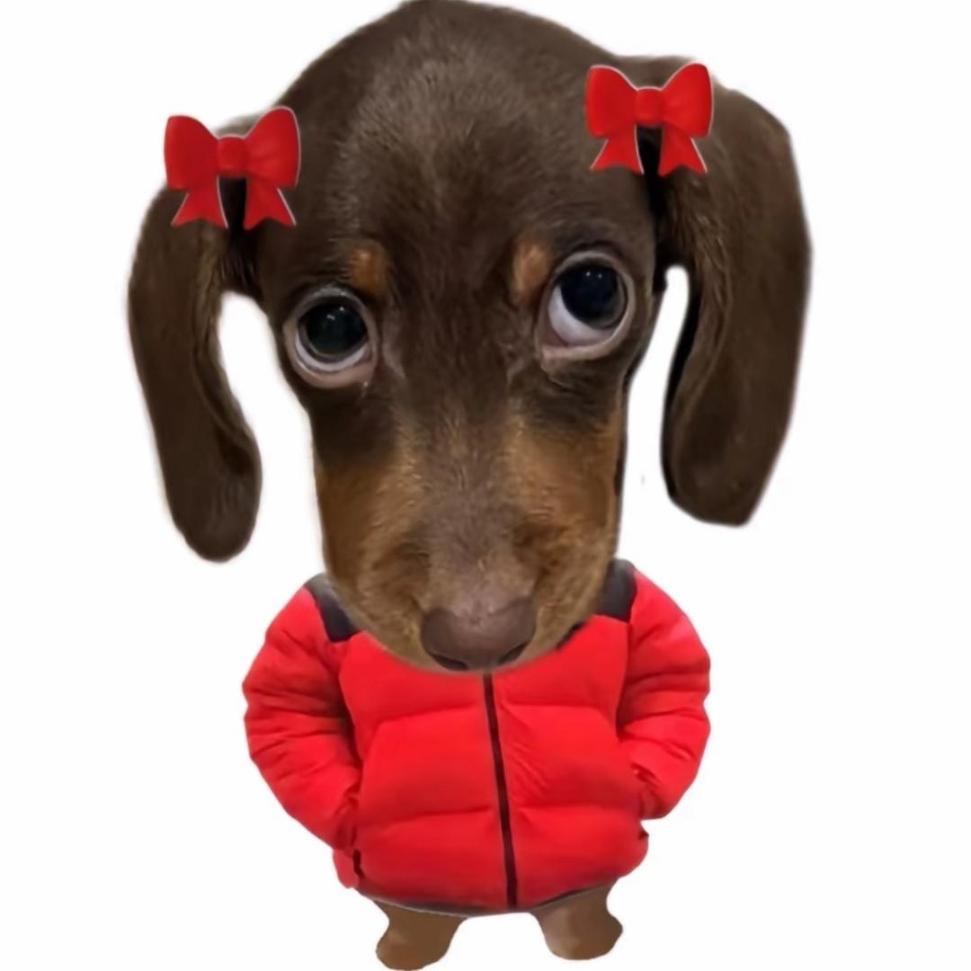 超级无敌美少女暴龙战士🎀