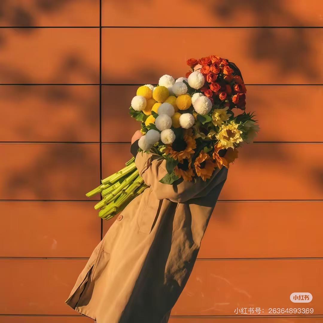 袋袋而已