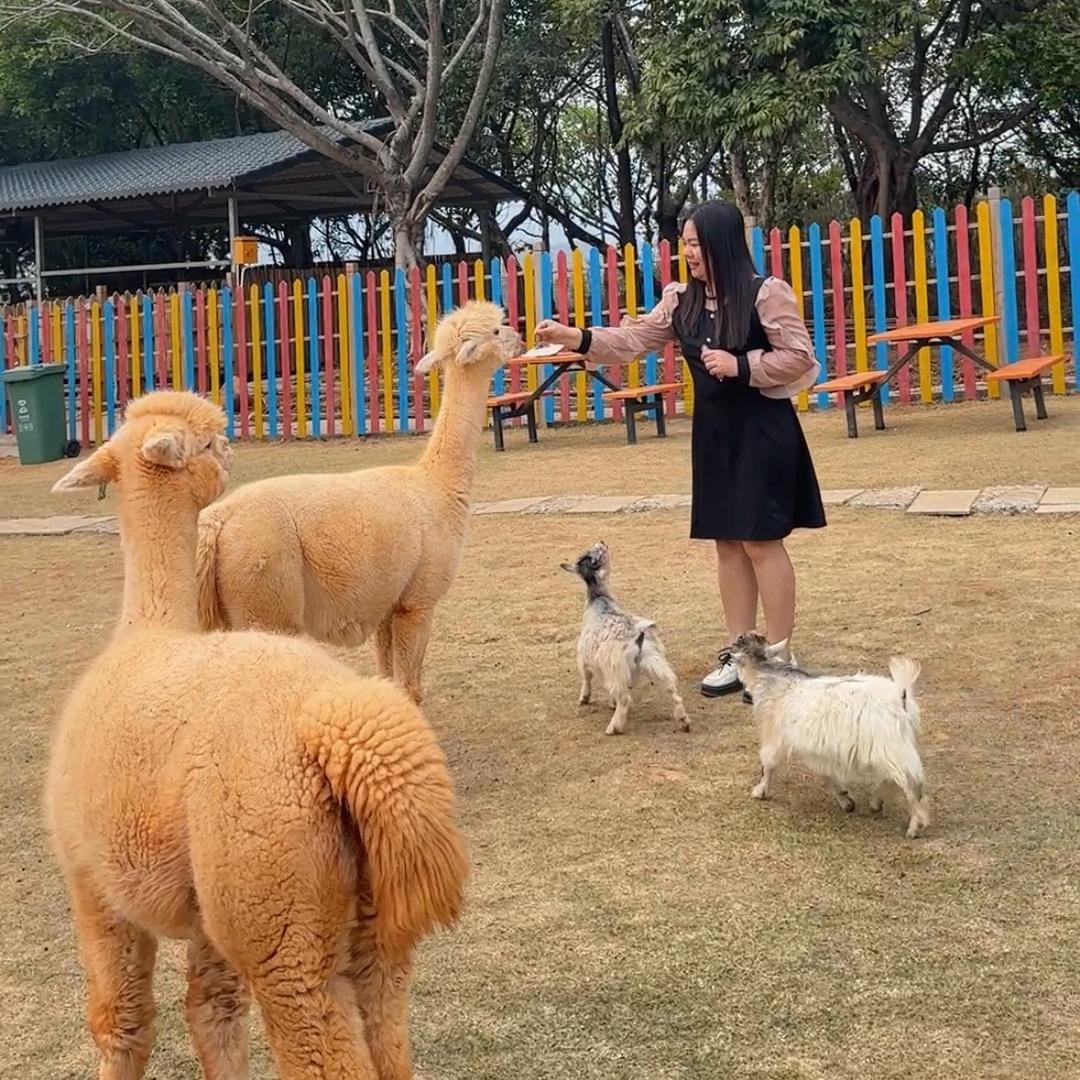 夏天带你寻觅美食