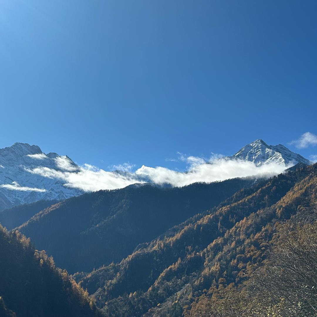 Pʀᴇғᴇ̶ʀ̶ᴇɴᴄᴇ