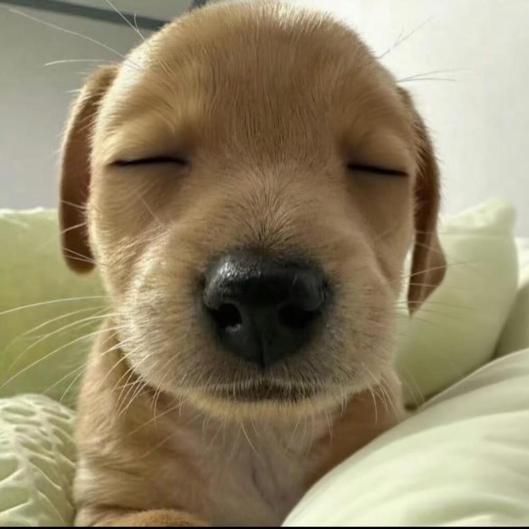 我們
