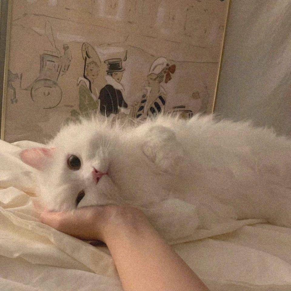 is.