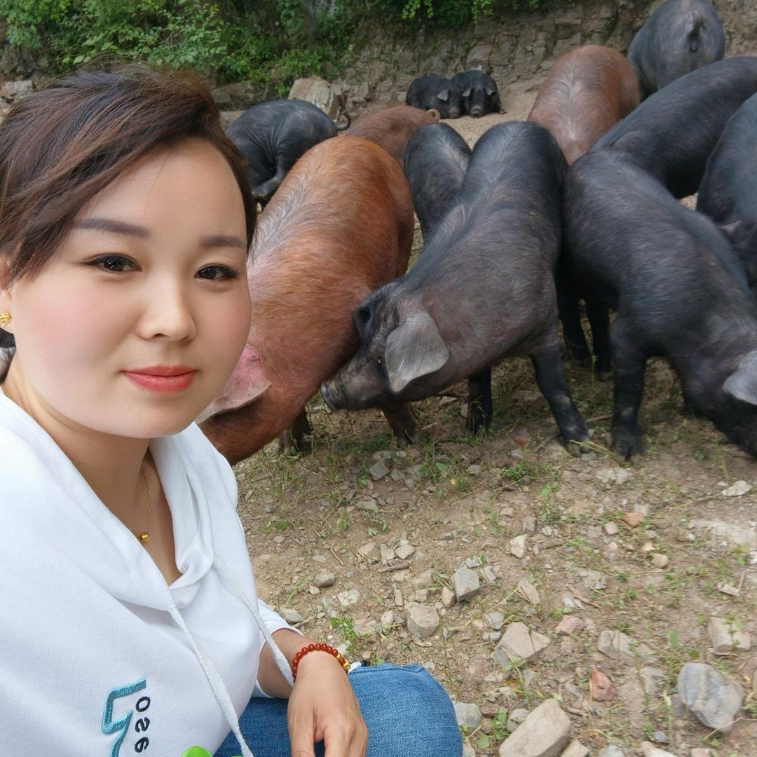散养黑猪莉姐