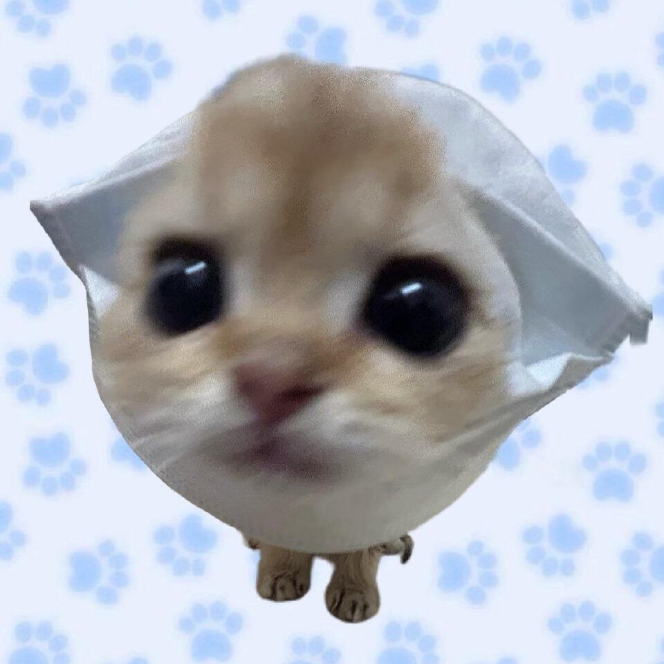 猫铃辑刊^^