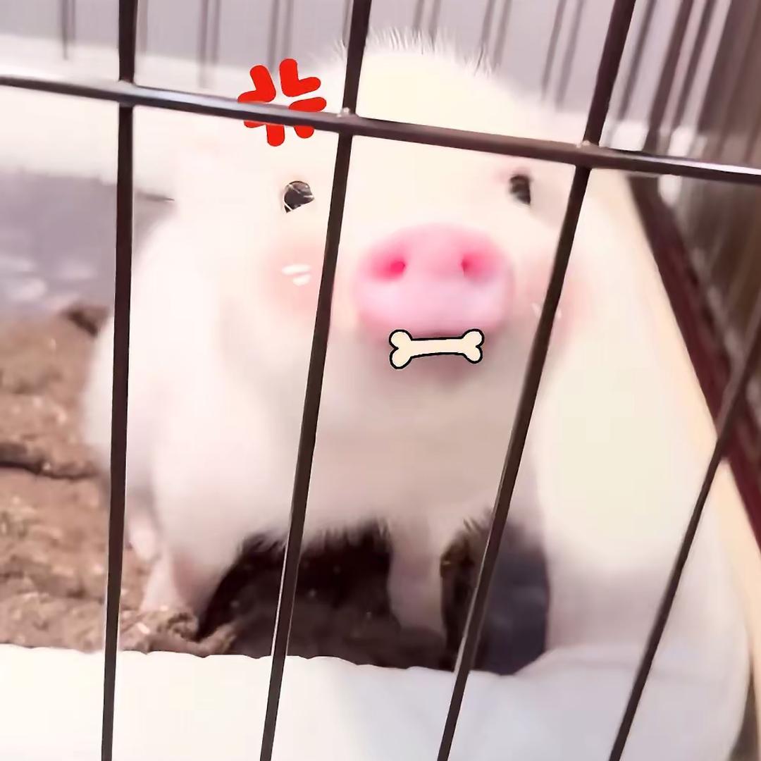 创