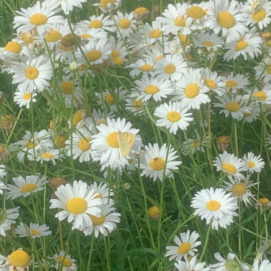 来场说走就走的旅行