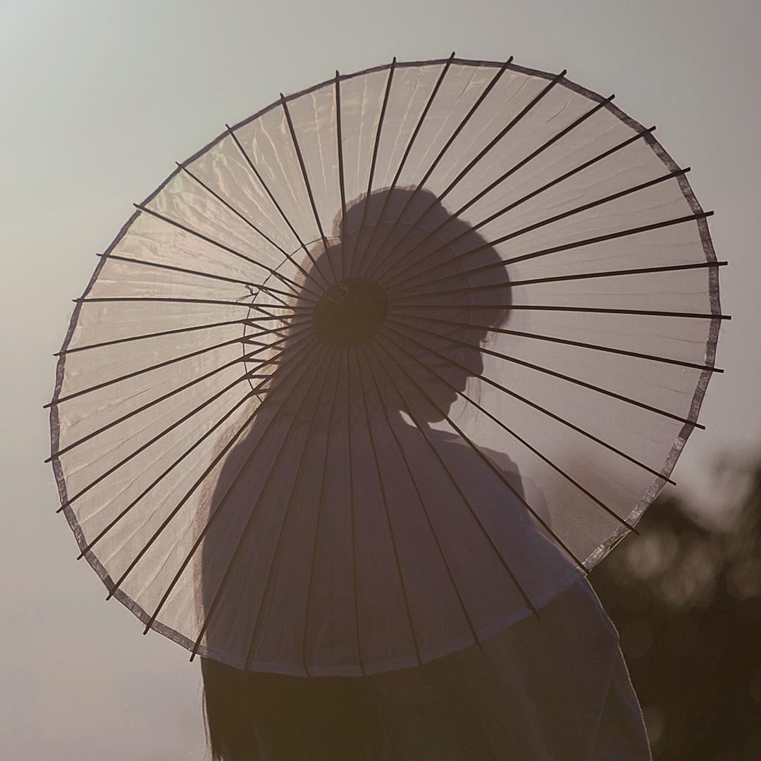 惜尘粒