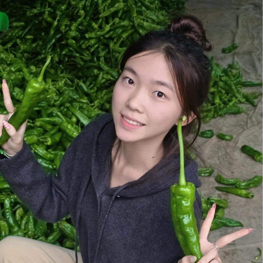 丸蛋辣（辣椒代办）