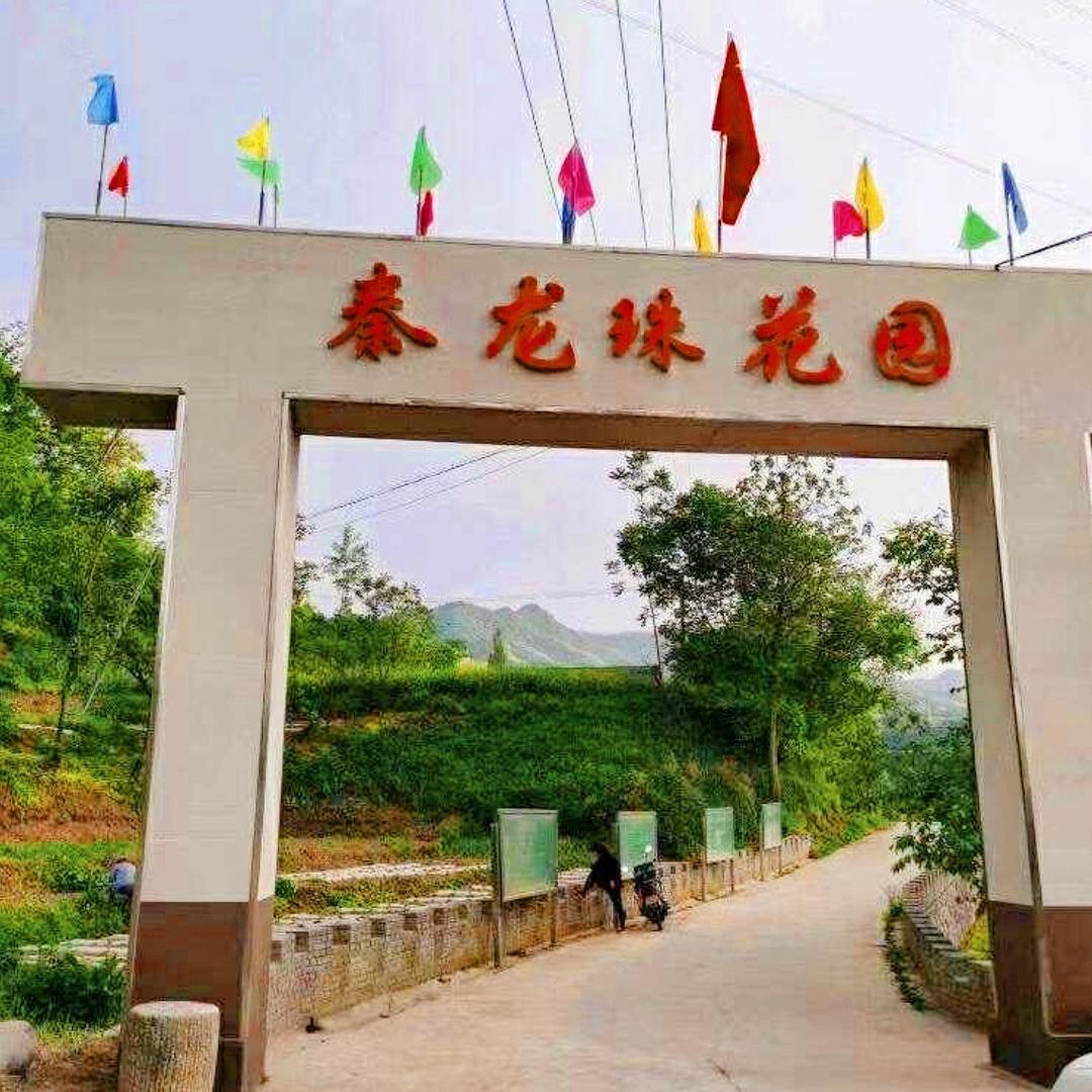 宝鸡秦龙珠花园🎣