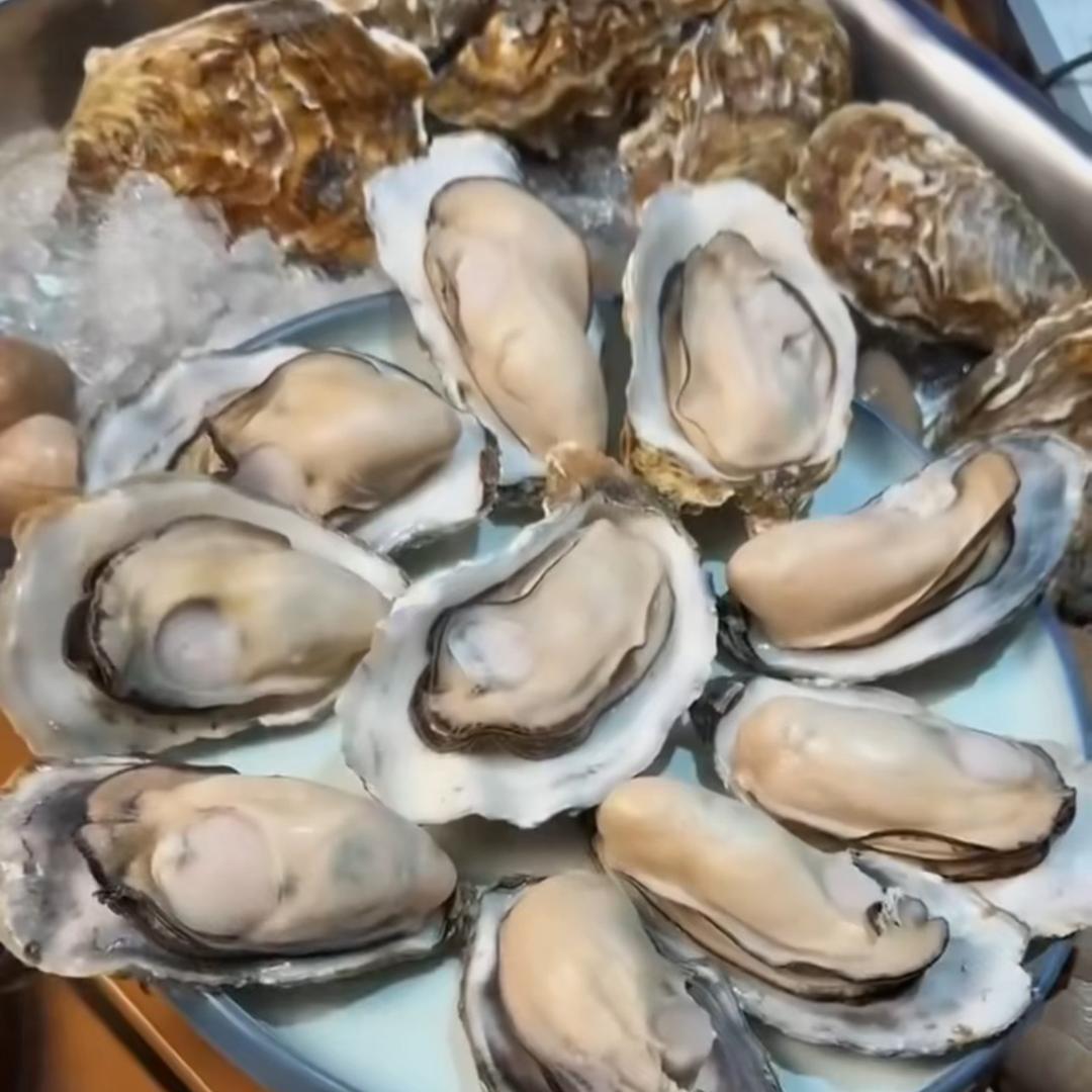乐享乳山生蚝