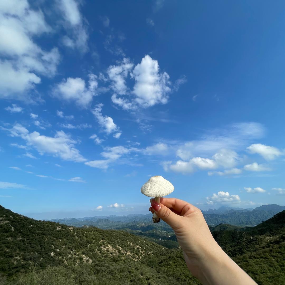 💋小🍃Ń🍃姐姐