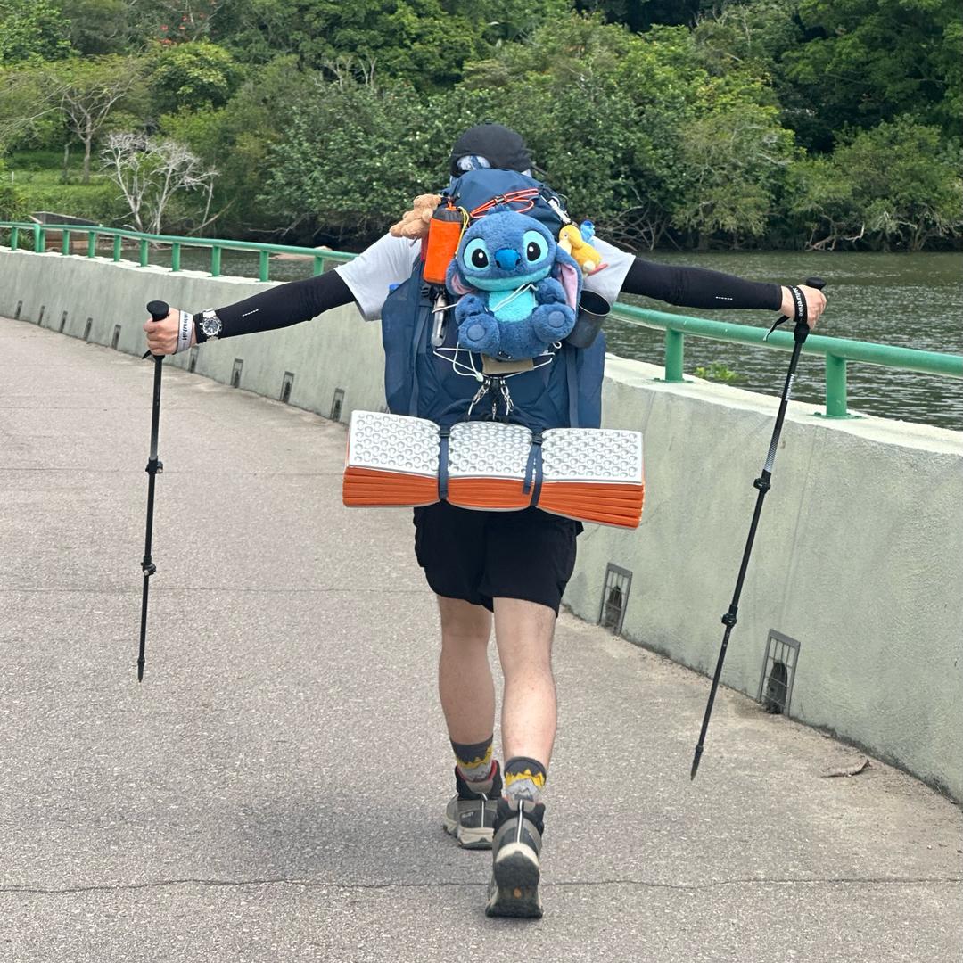 飛飞