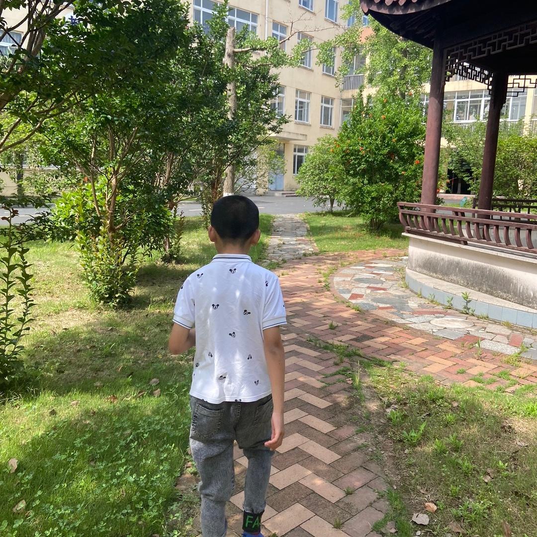 春天会来的