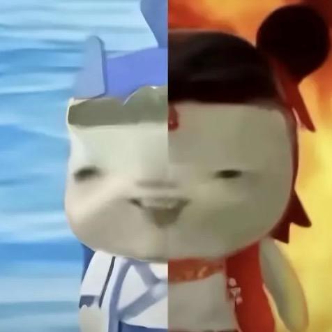 ┑(￣Д ￣)┍