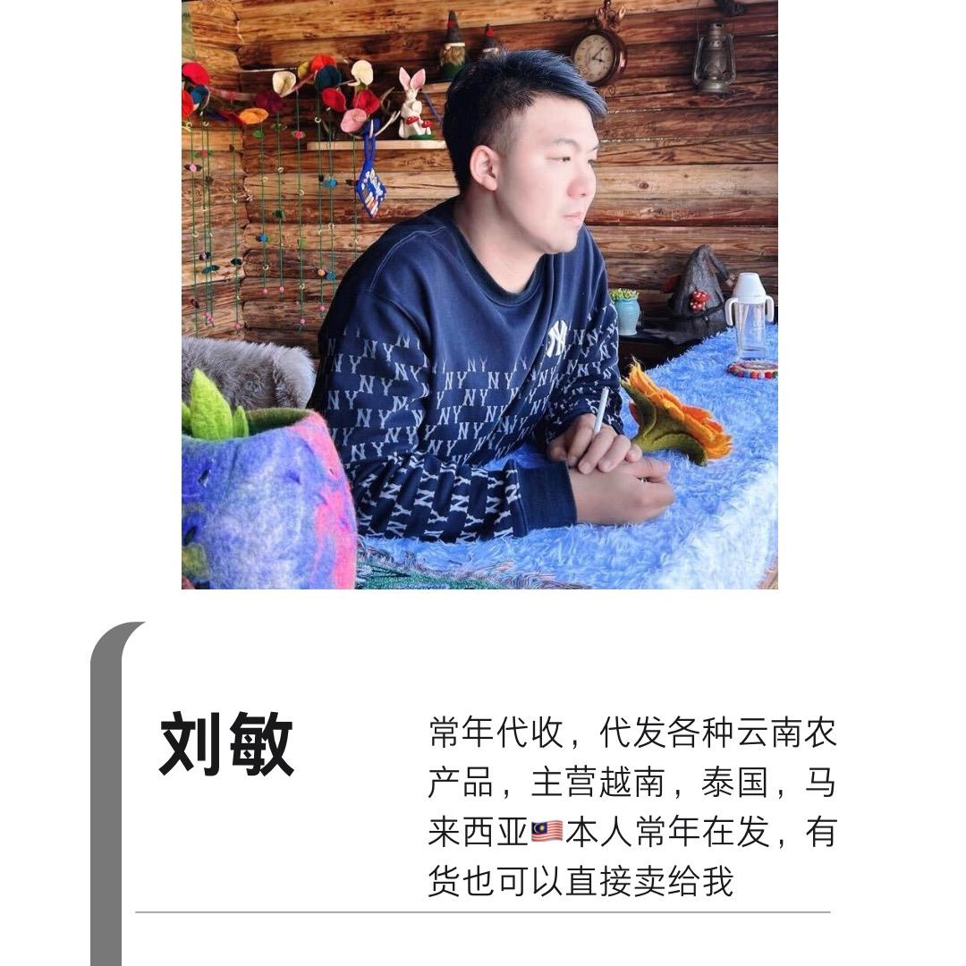 云南蔬菜一姐通海大兄弟