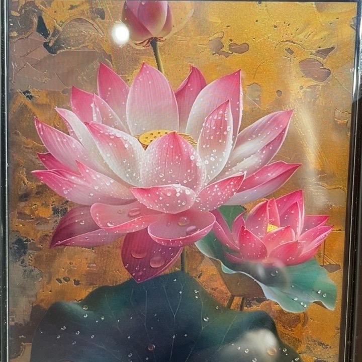 龙龙爱生活