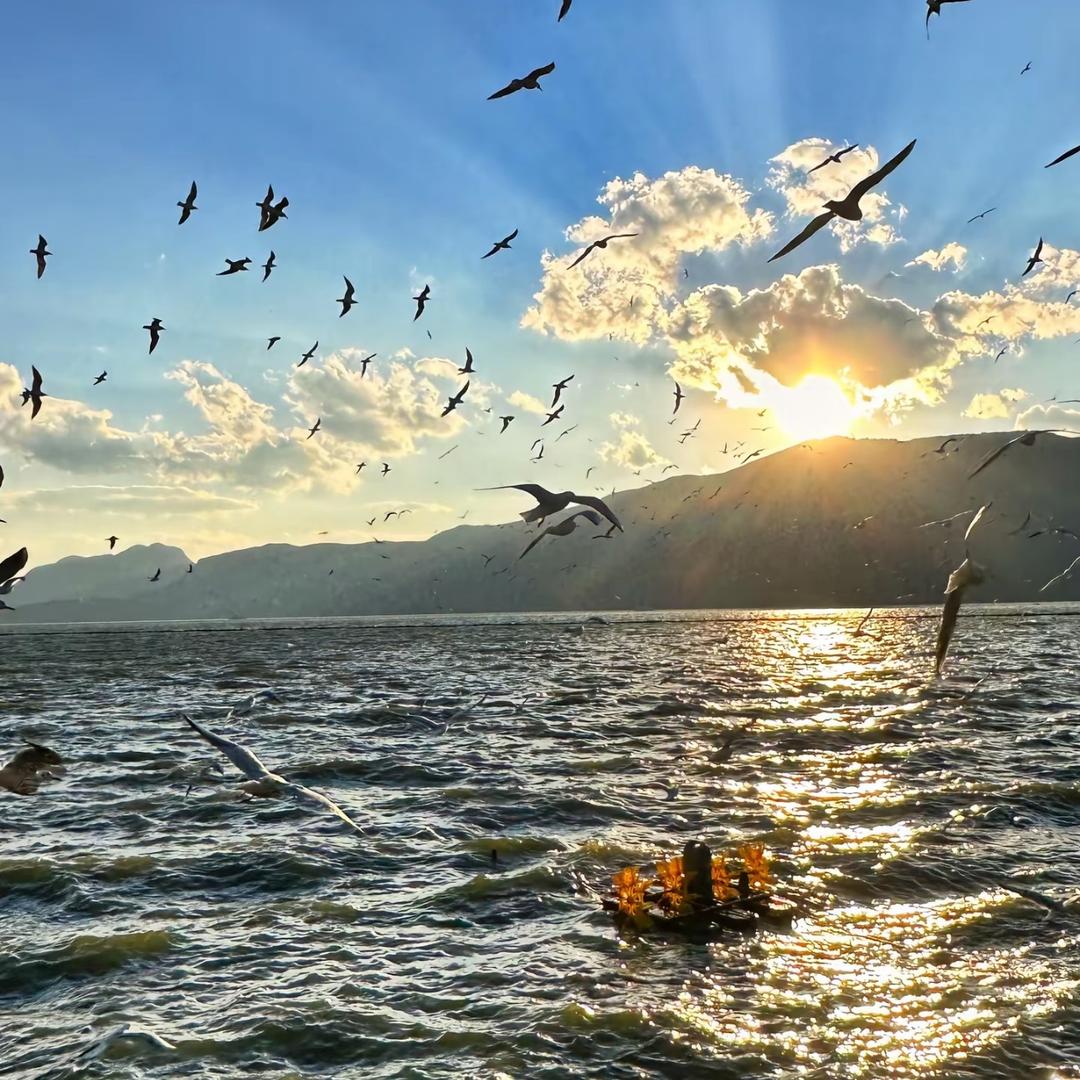 百悦百货折扣仓官方号