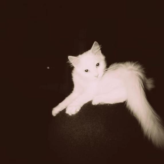 别让正事耽误玩