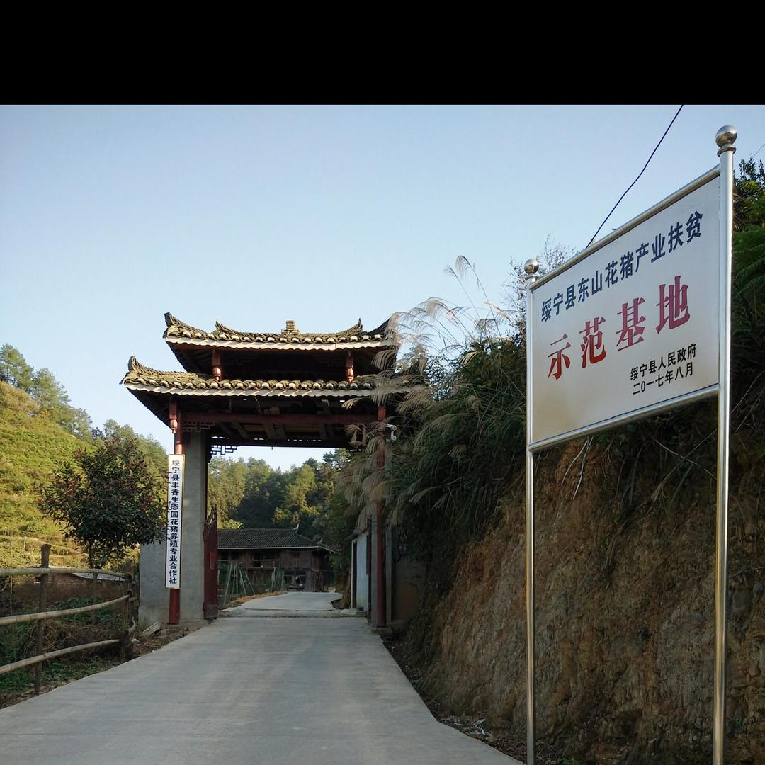 绥宁九号电动车