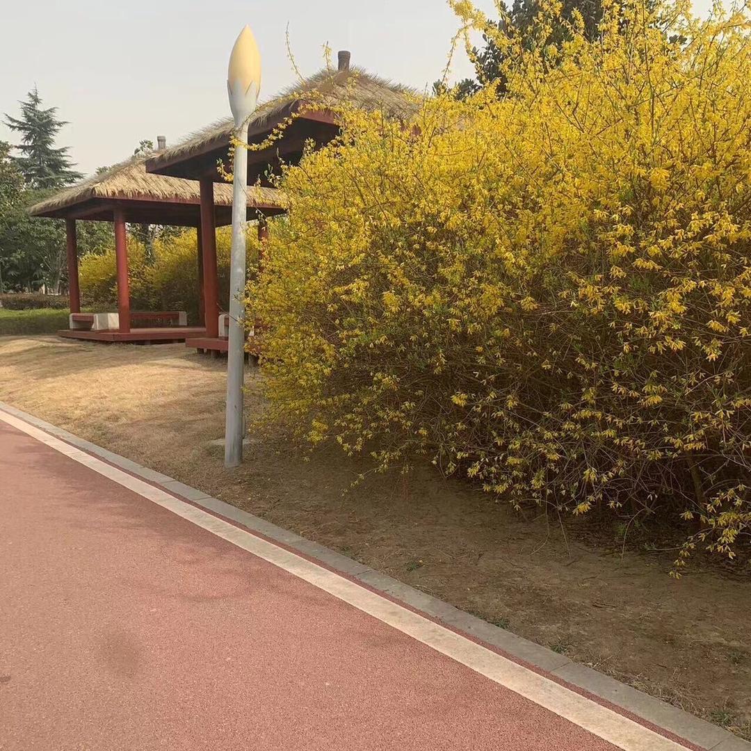 国学知识