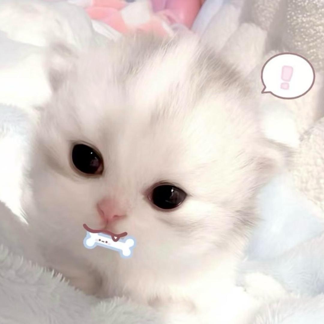 闪电小猫^
