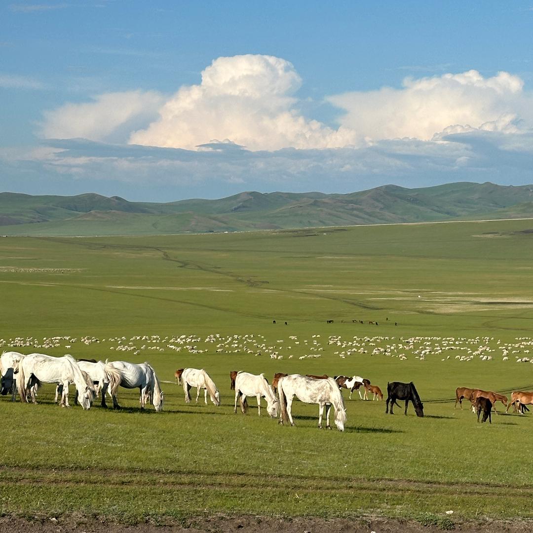 呼伦贝尔名途旅行