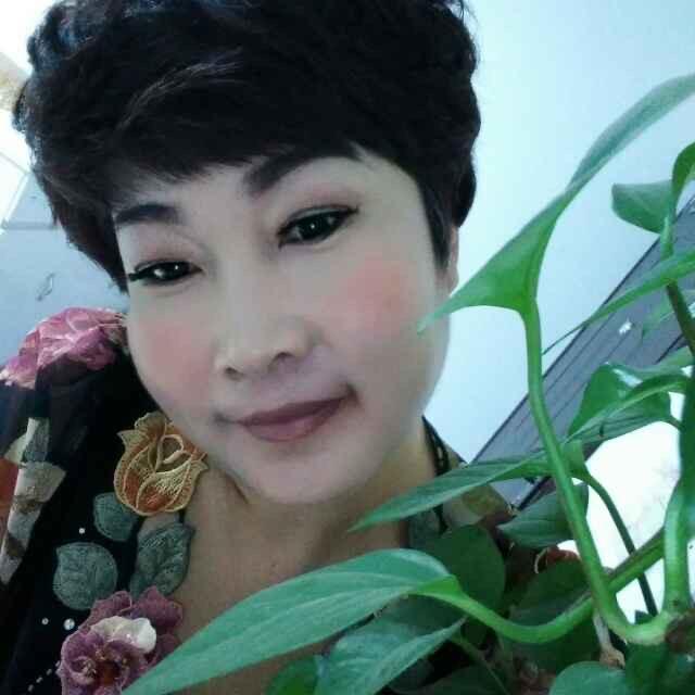 🌹清🌹