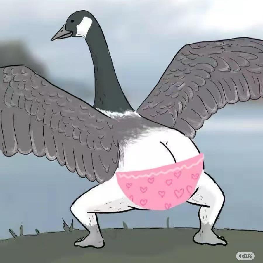 无能的兰兰