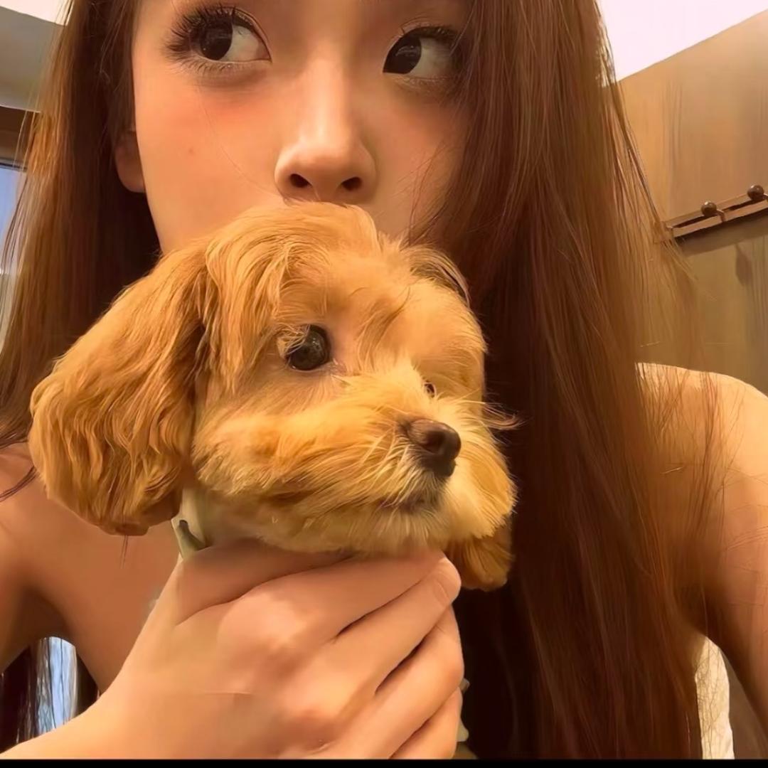 咩咩