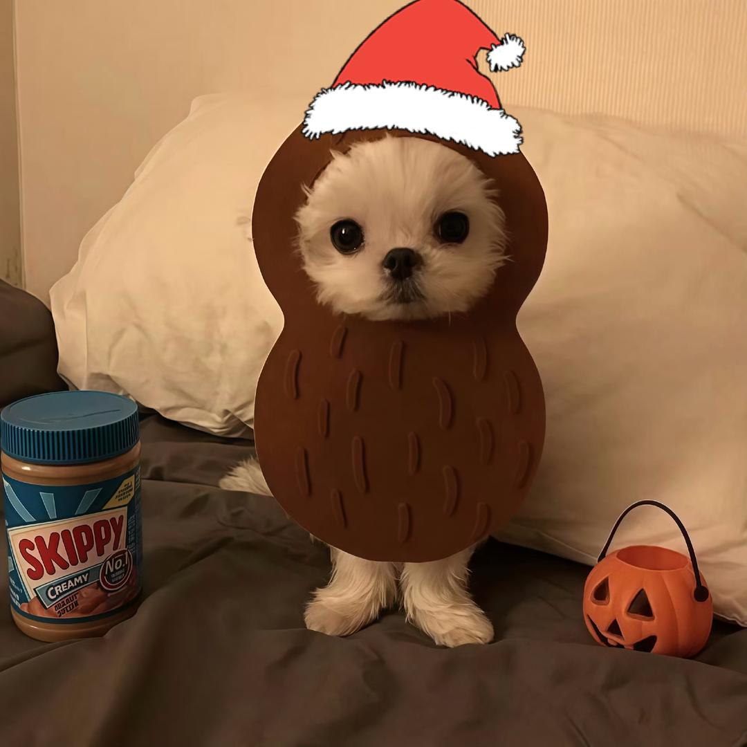 oi小鬼