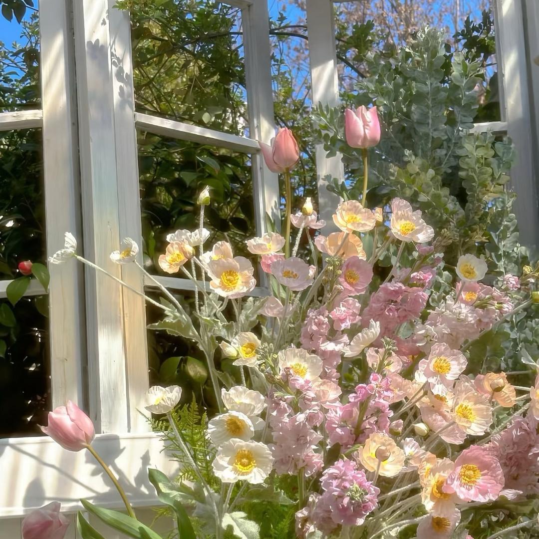 鑫媛💐
