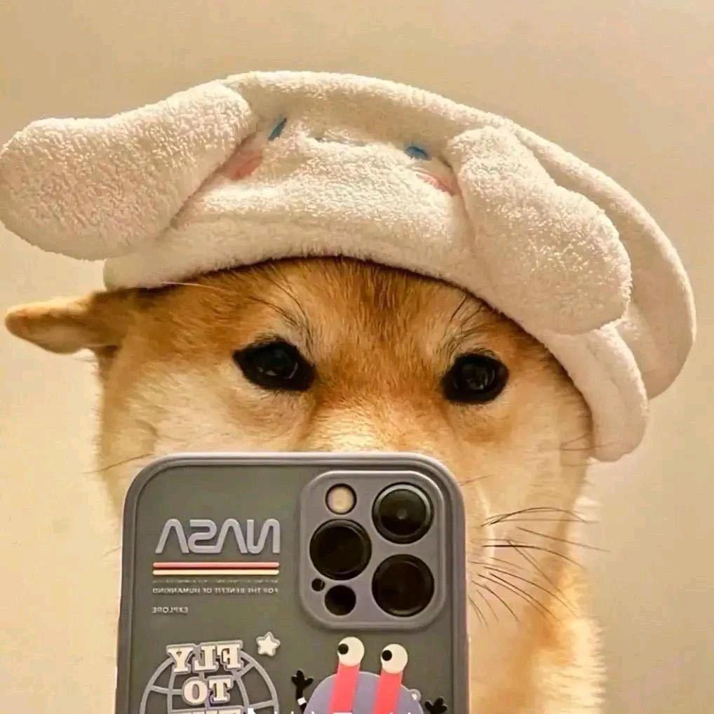 小肥的猫🐱