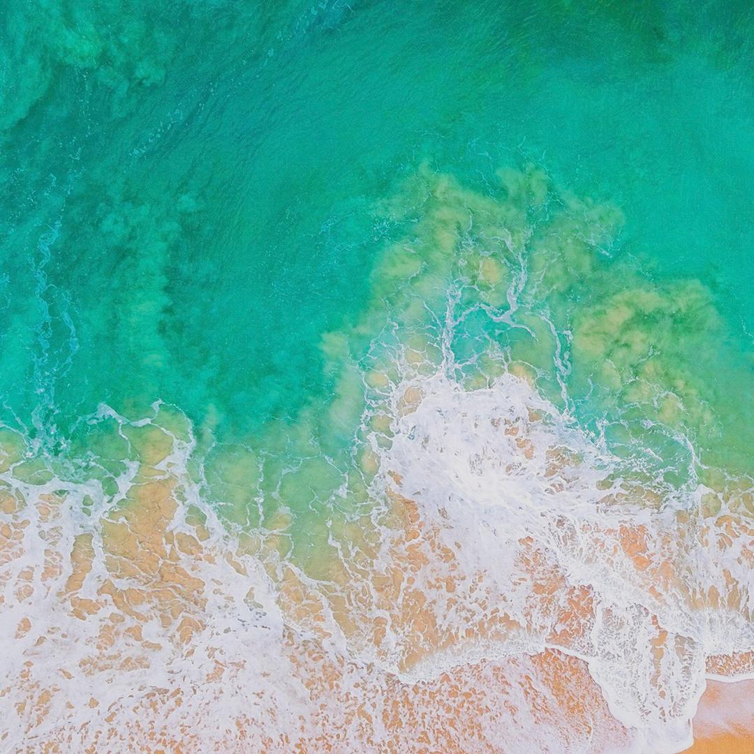 岛海碎的的心