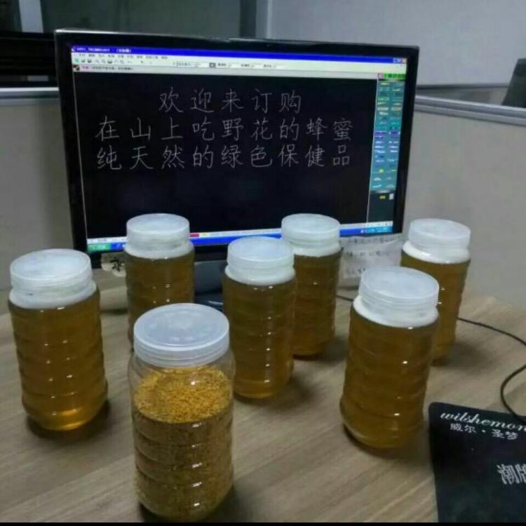好运来桂月