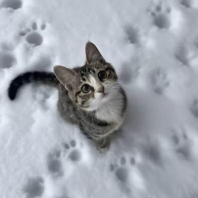 俊^_^