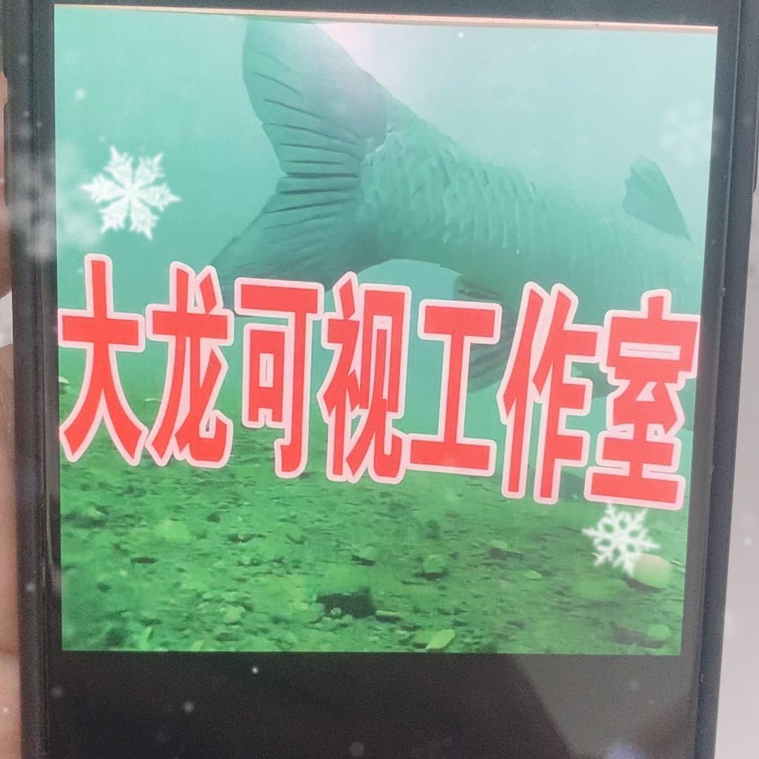 沭阳大龙可视
