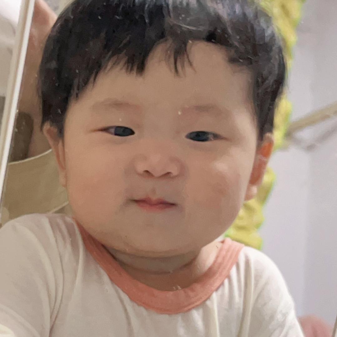 团粉的团