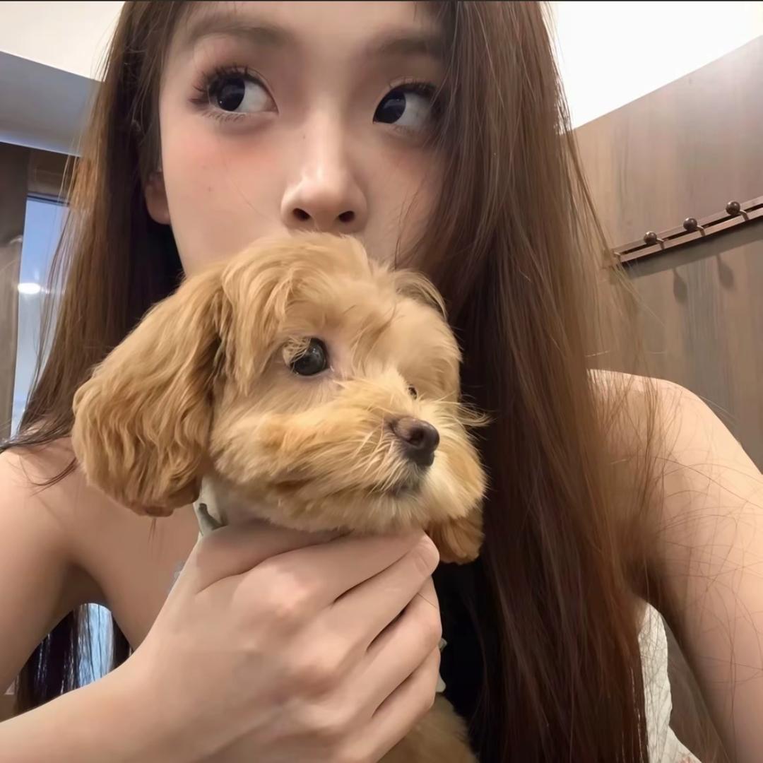 只想早早睡.