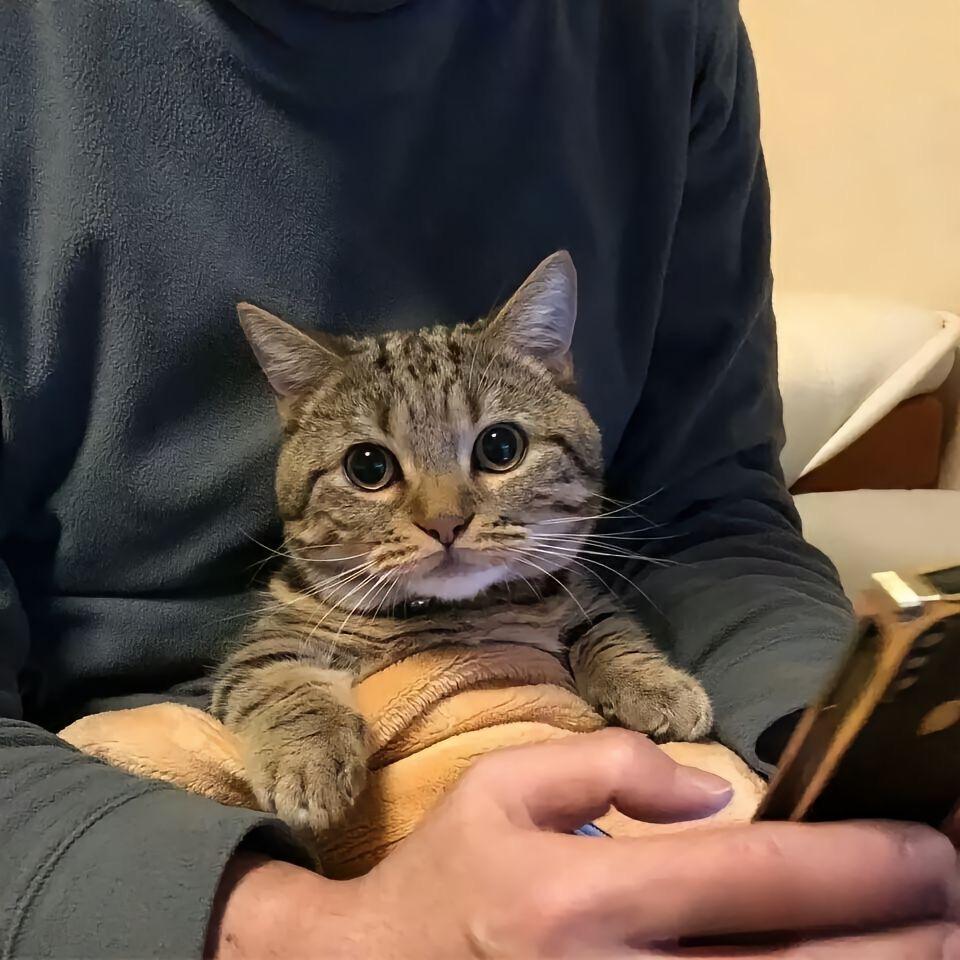 侲學