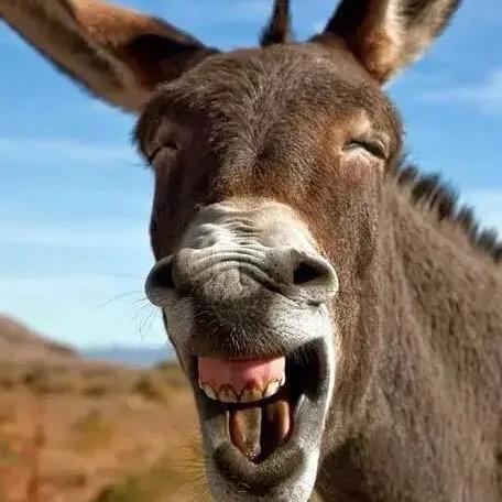 王德发故事会⸂